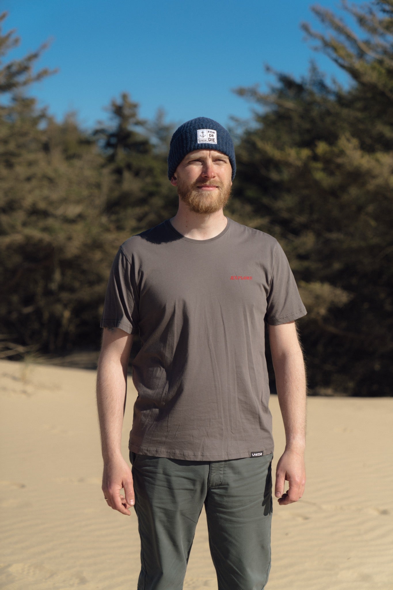 Bear Burrito T-Shirt - Morel