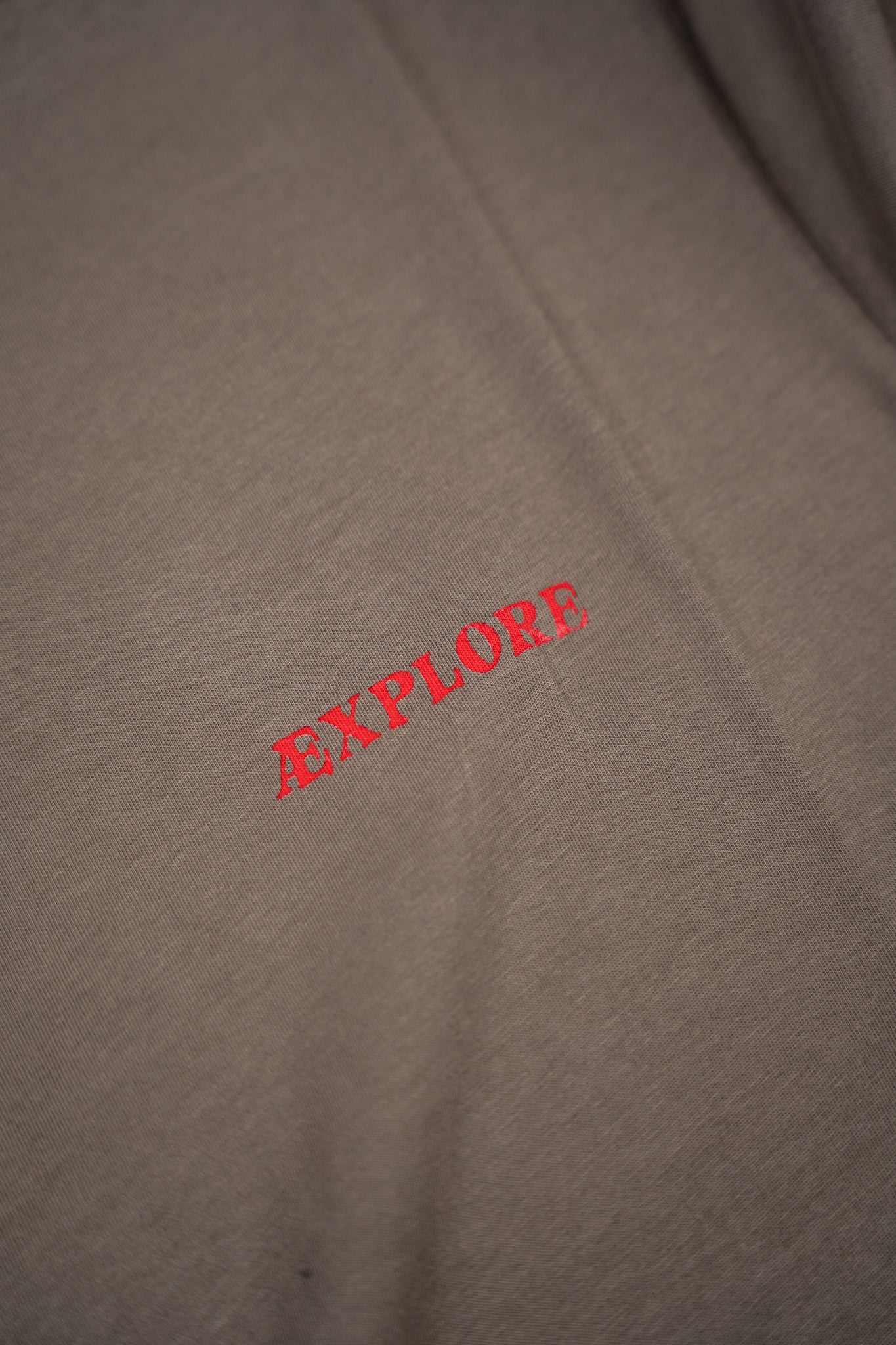 Bear Burrito T-Shirt - Morel