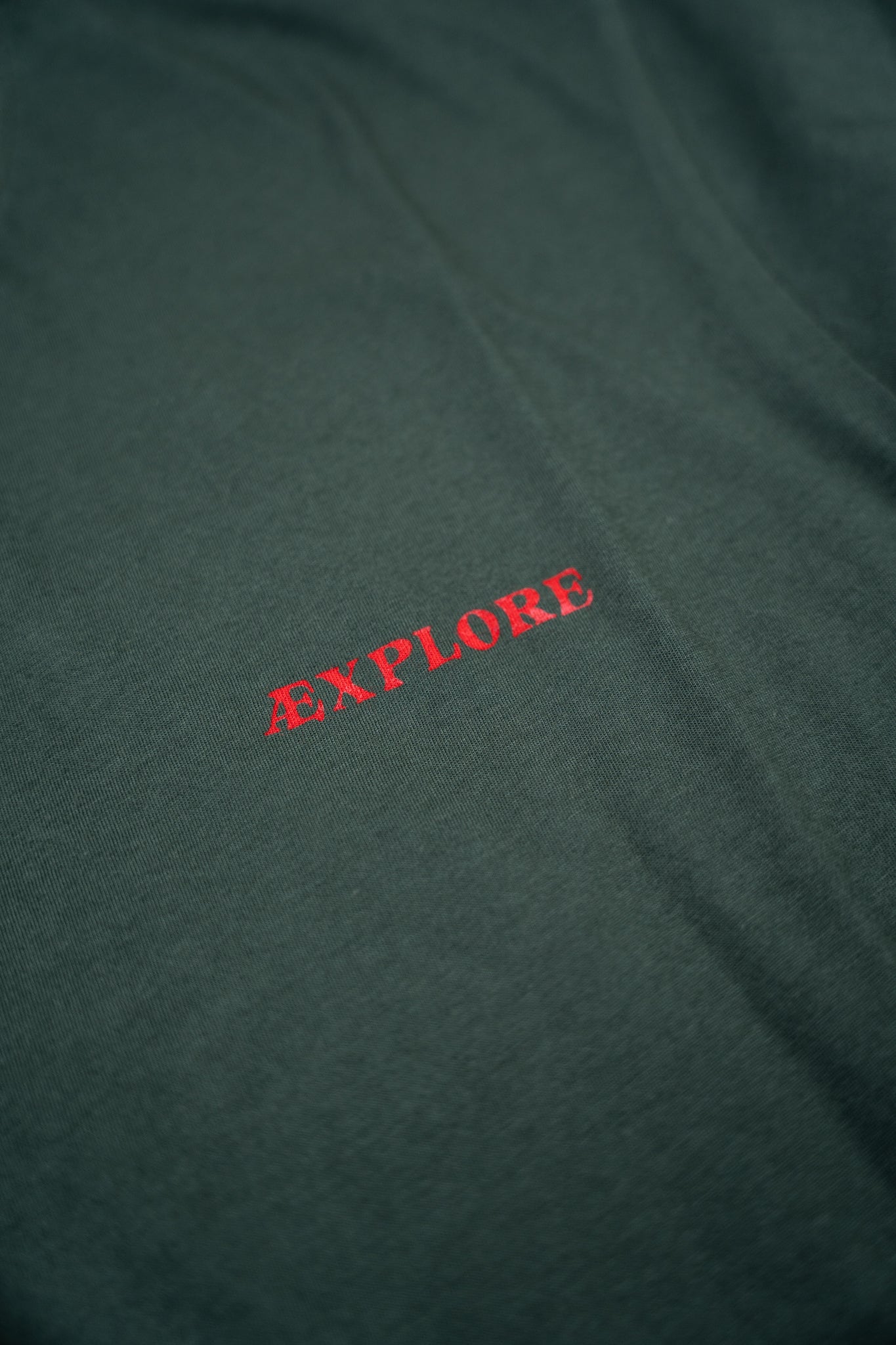 Bear Burrito T-Shirt - Green Gables