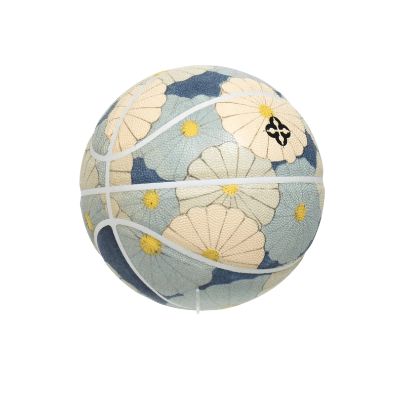 Basketbal - Indigo