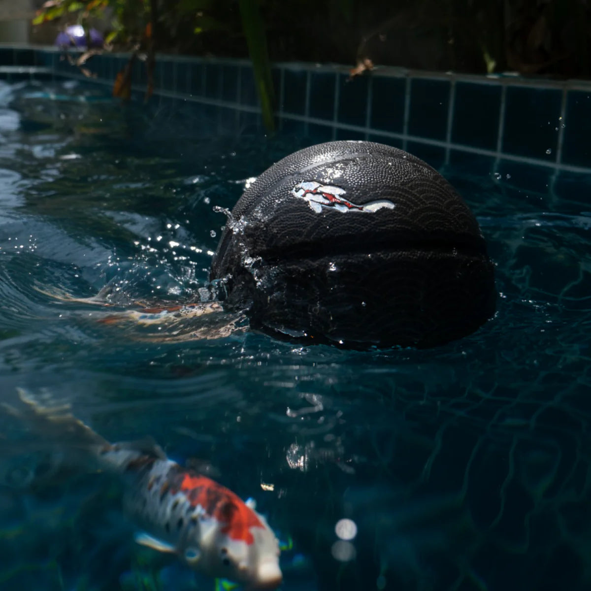 Basketbal - Koi Nami