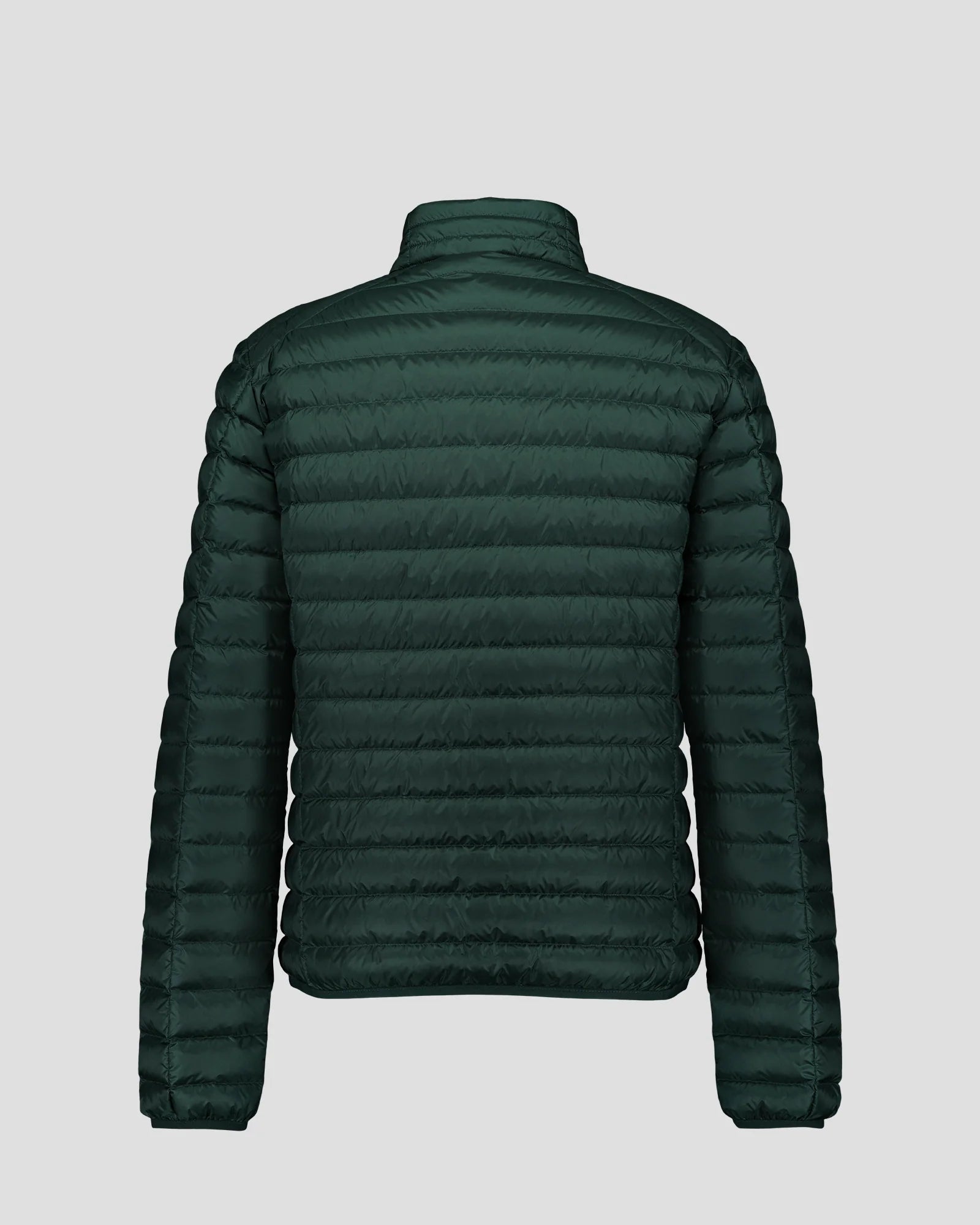 Mat Daunenjacke Deep Forest 